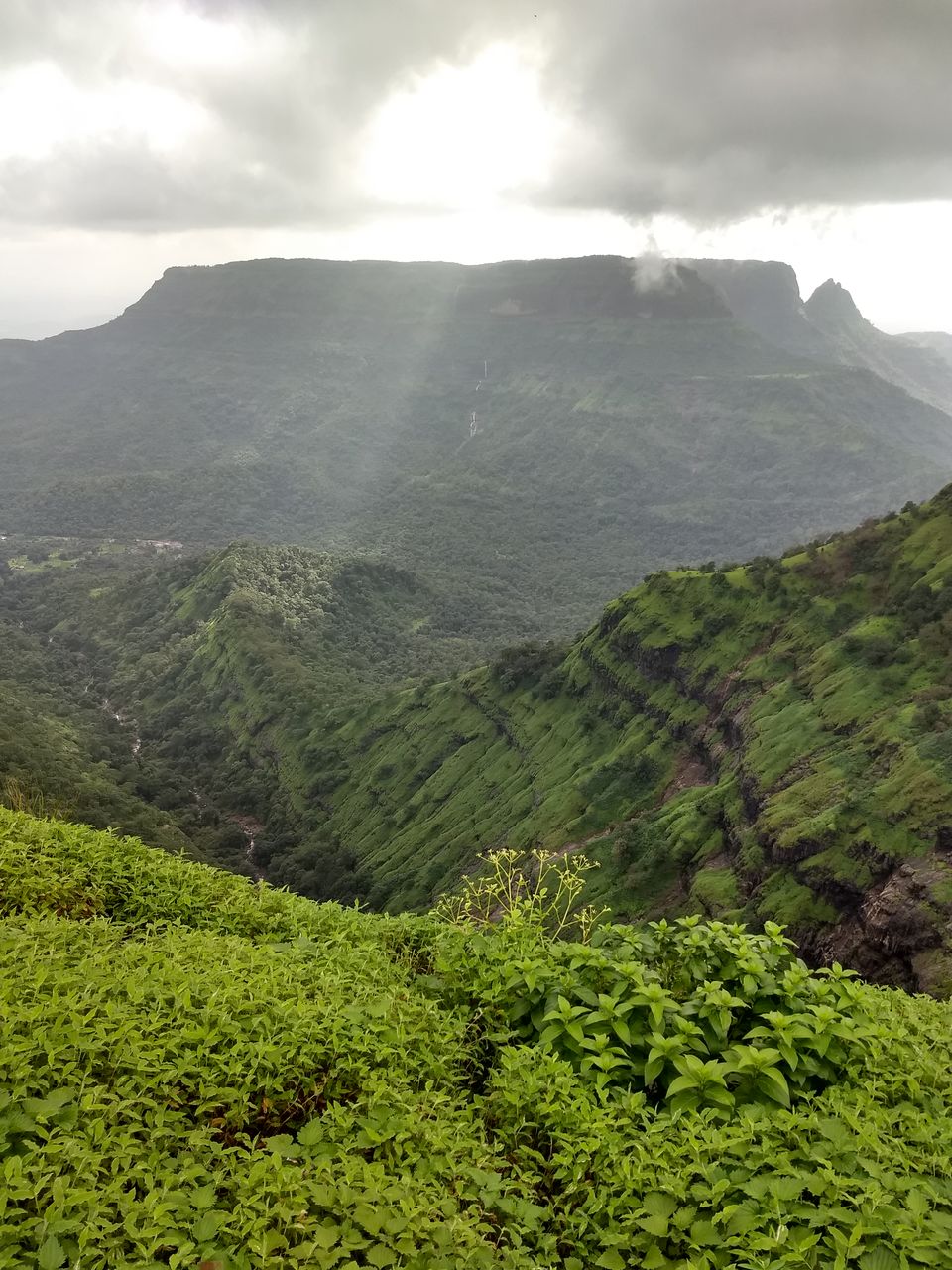Photo of The color of monsoon in - Matheran 2/10 by Avinash Patra
