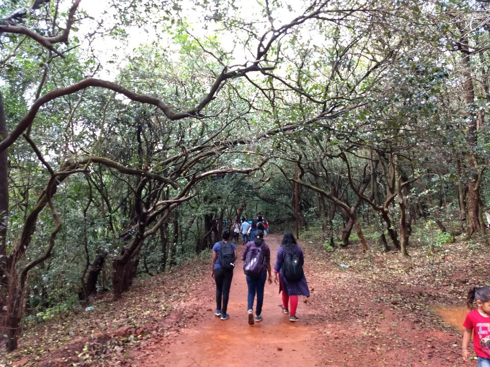Photo of The color of monsoon in - Matheran 1/10 by Avinash Patra