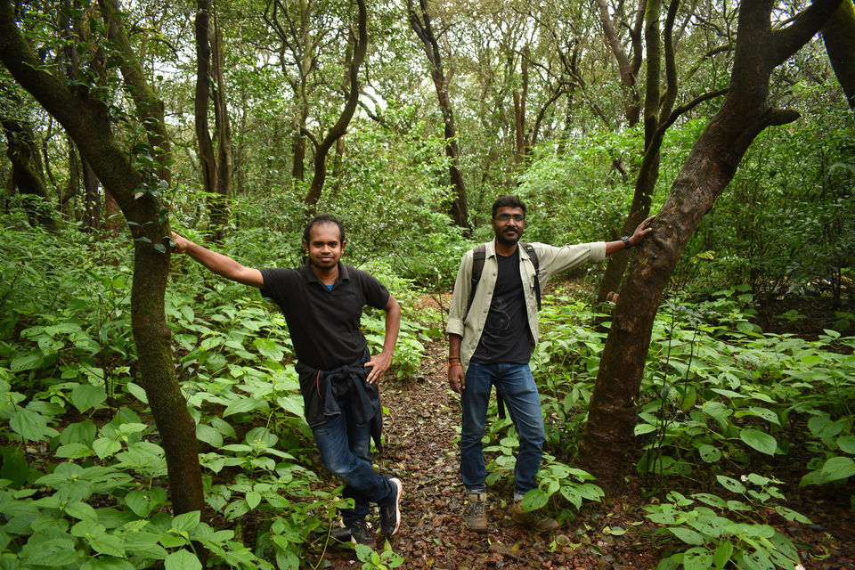 Photo of The color of monsoon in - Matheran 5/10 by Avinash Patra