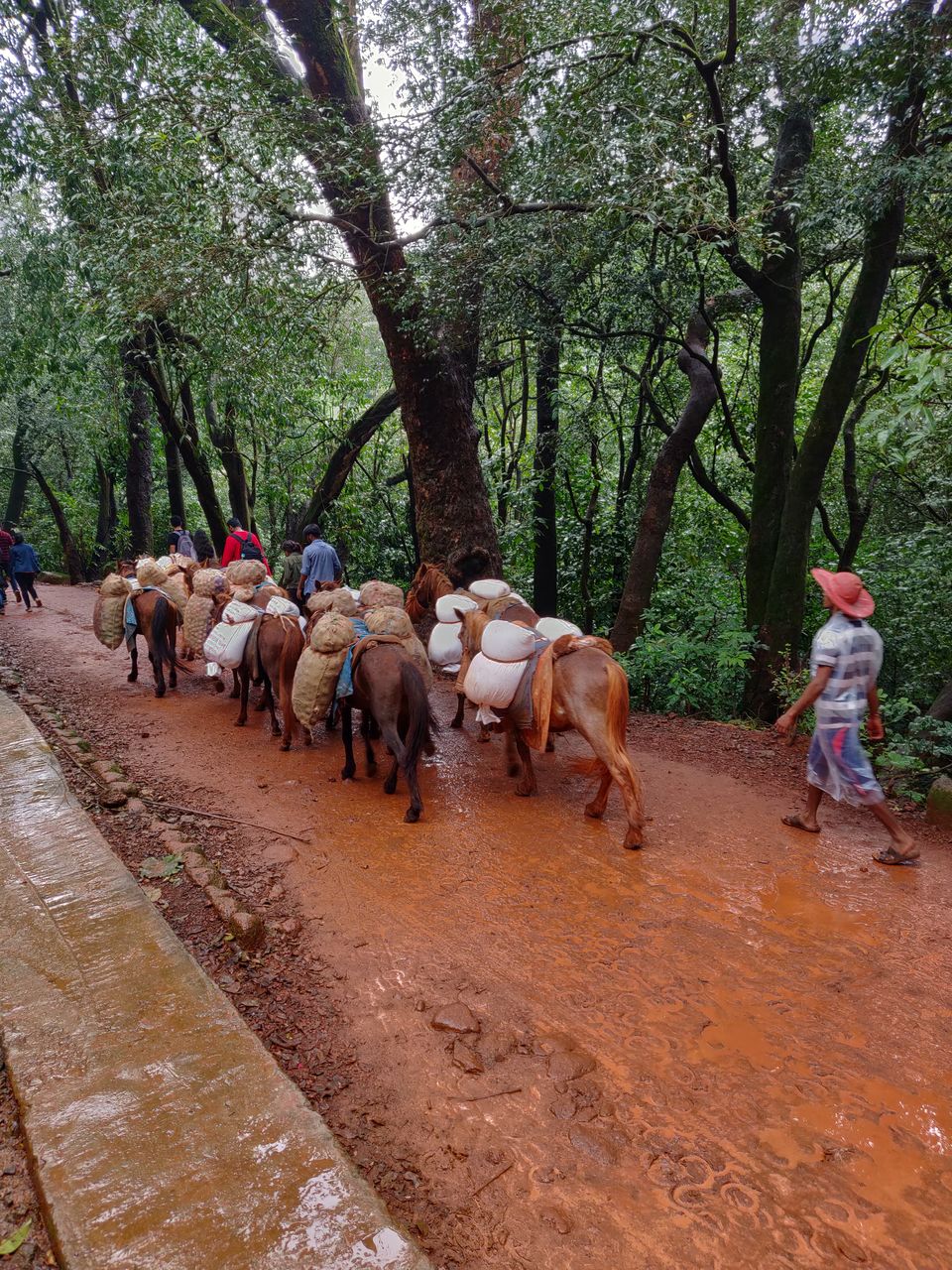 Photo of The color of monsoon in - Matheran 8/10 by Avinash Patra