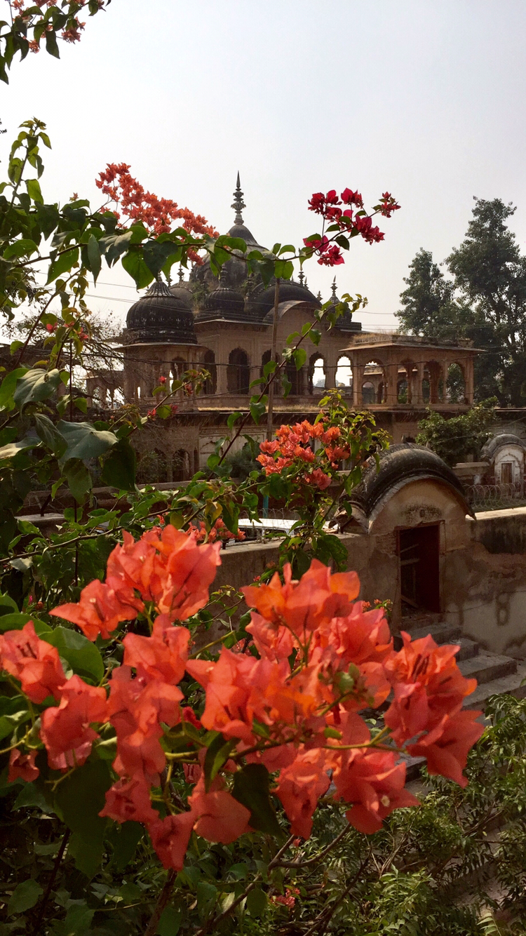 Photo of Govardhan, Uttar Pradesh, India by pr@gs