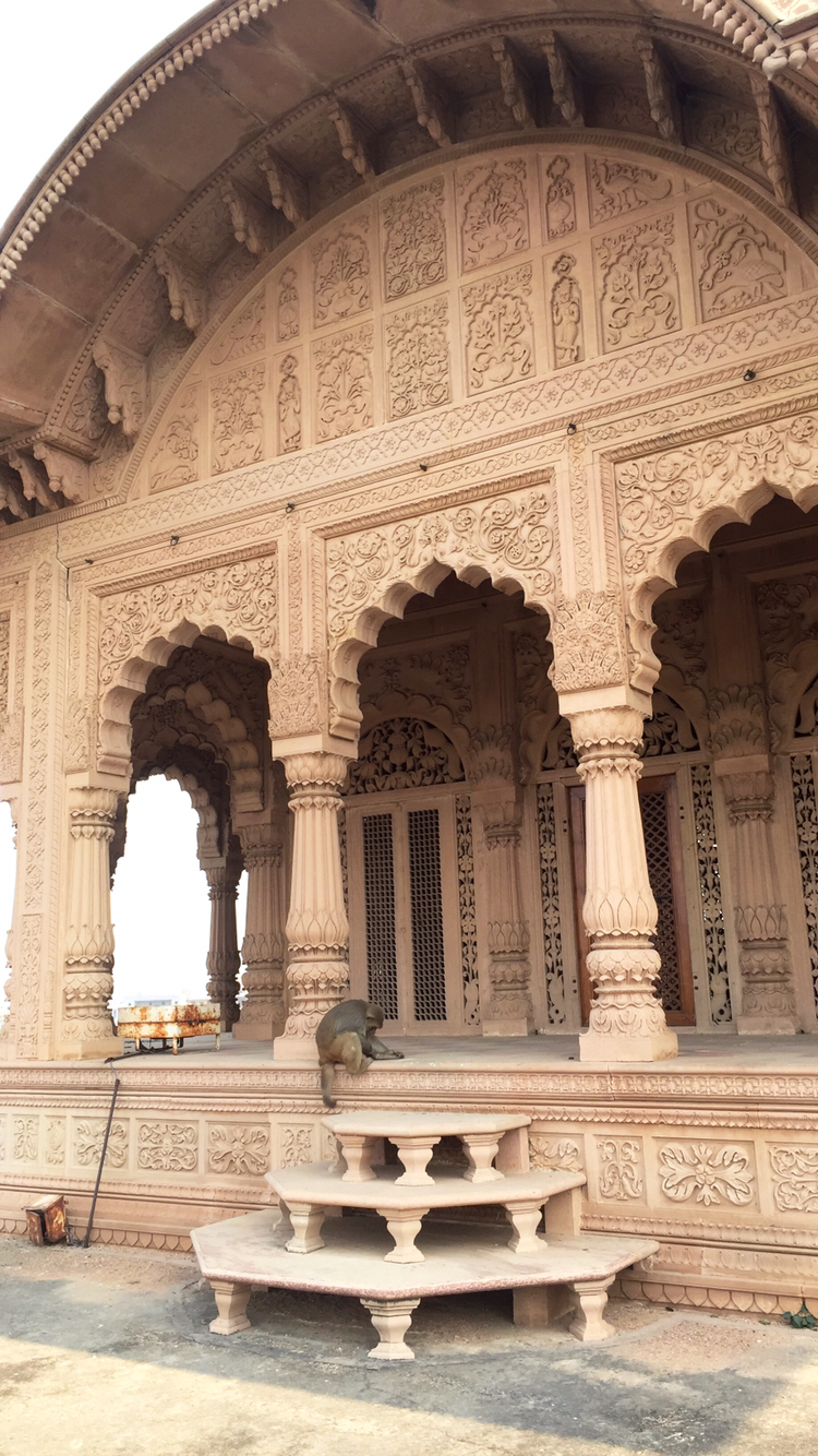 Photo of Govardhan, Uttar Pradesh, India by pr@gs