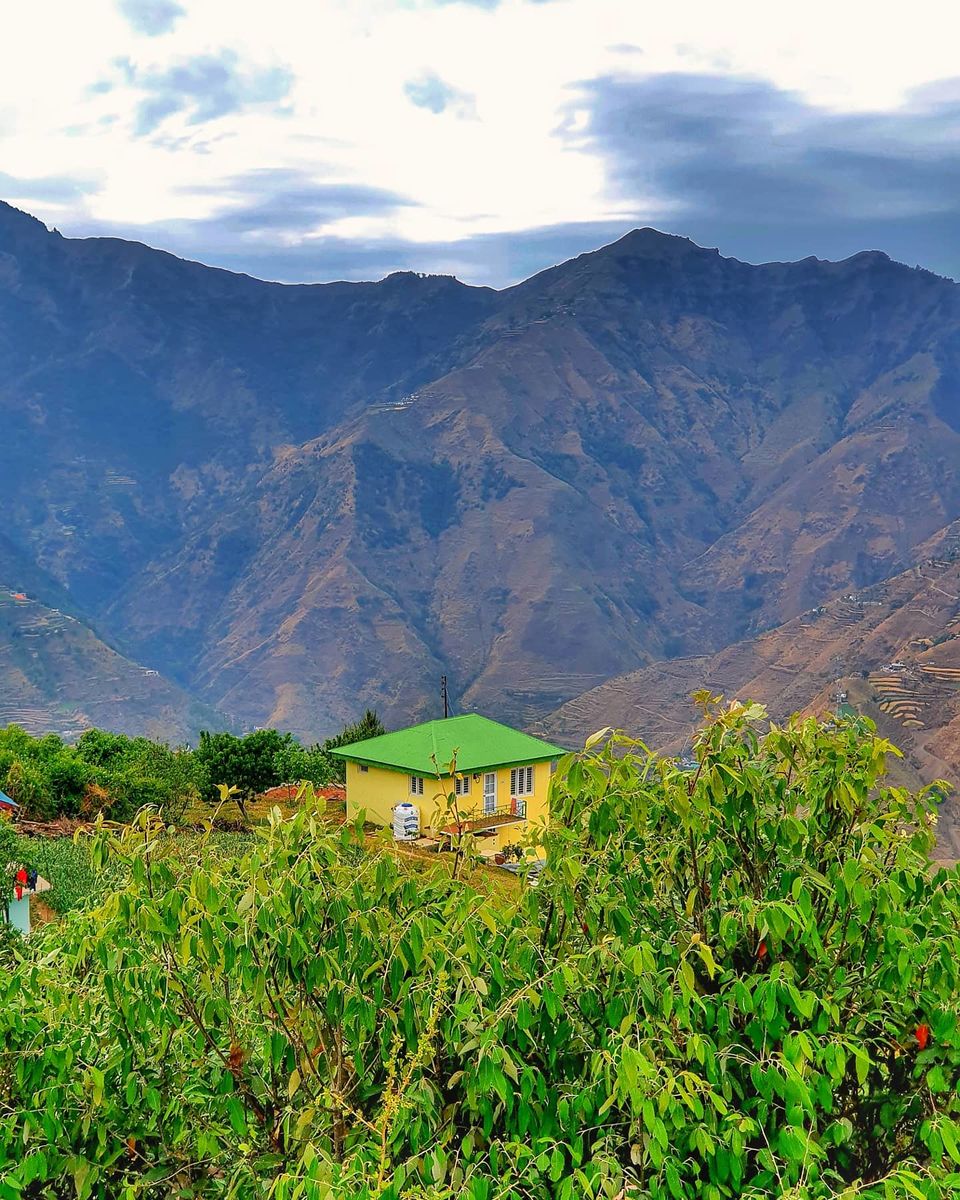 Photo of Work from Mountains: A peaceful farm stay in Himachal Pradesh surrounded by apple orchards by Travelbuddiesforlife_Rk