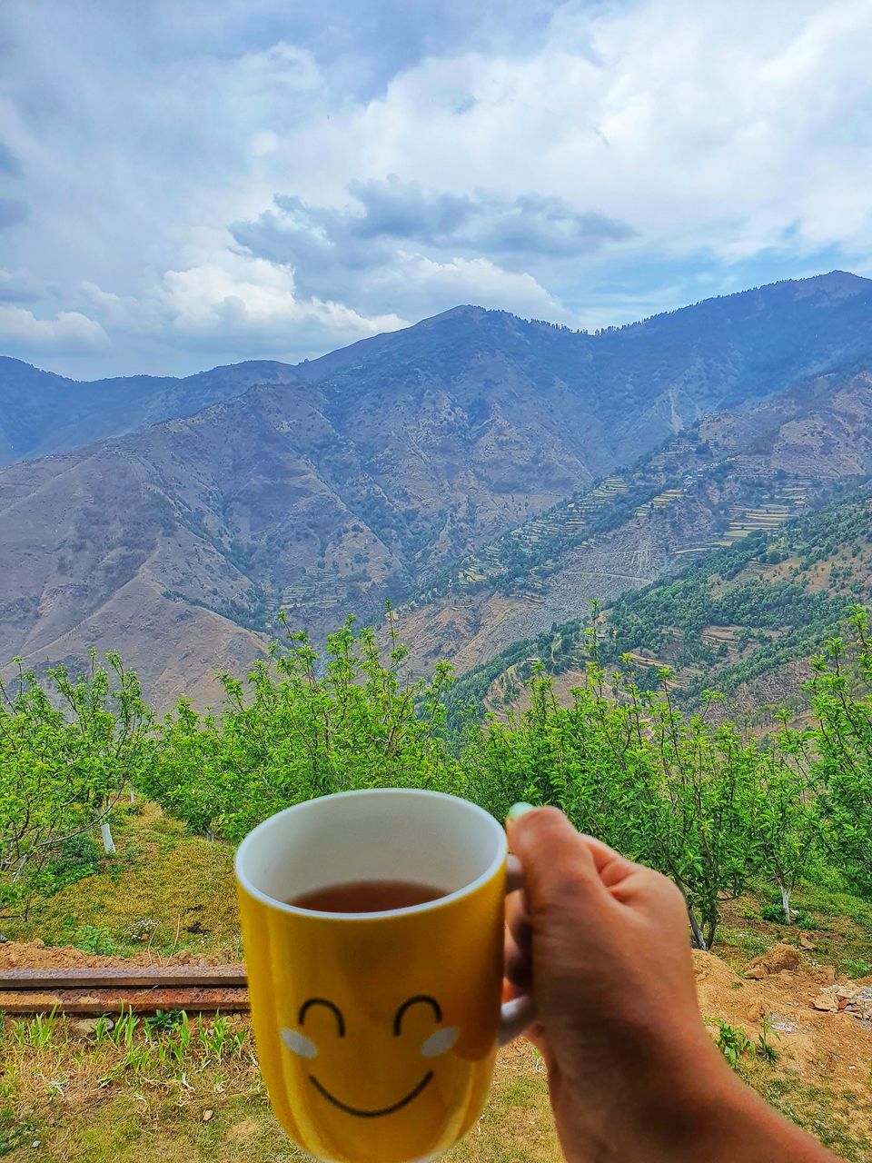 Photo of Work from Mountains: A peaceful farm stay in Himachal Pradesh surrounded by apple orchards by Travelbuddiesforlife_Rk
