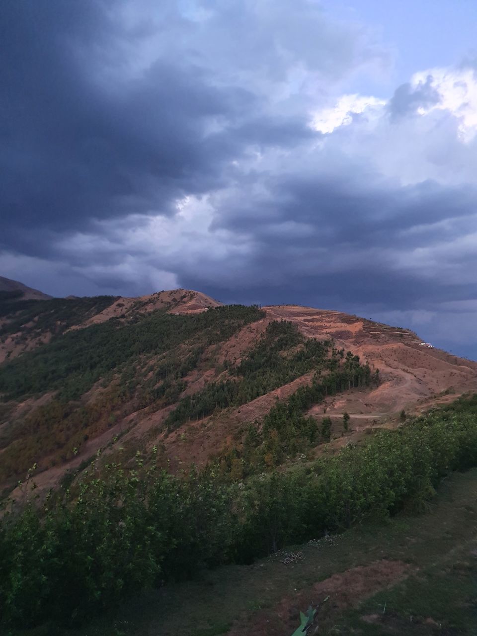 Photo of Work from Mountains: A peaceful farm stay in Himachal Pradesh surrounded by apple orchards by Travelbuddiesforlife_Rk
