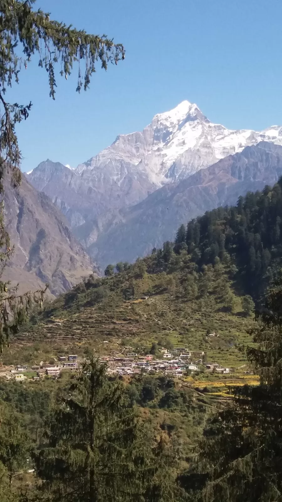 Photo of Kuari Pass trekking - A journey to spiritual wisdom by Vivek Rauthan