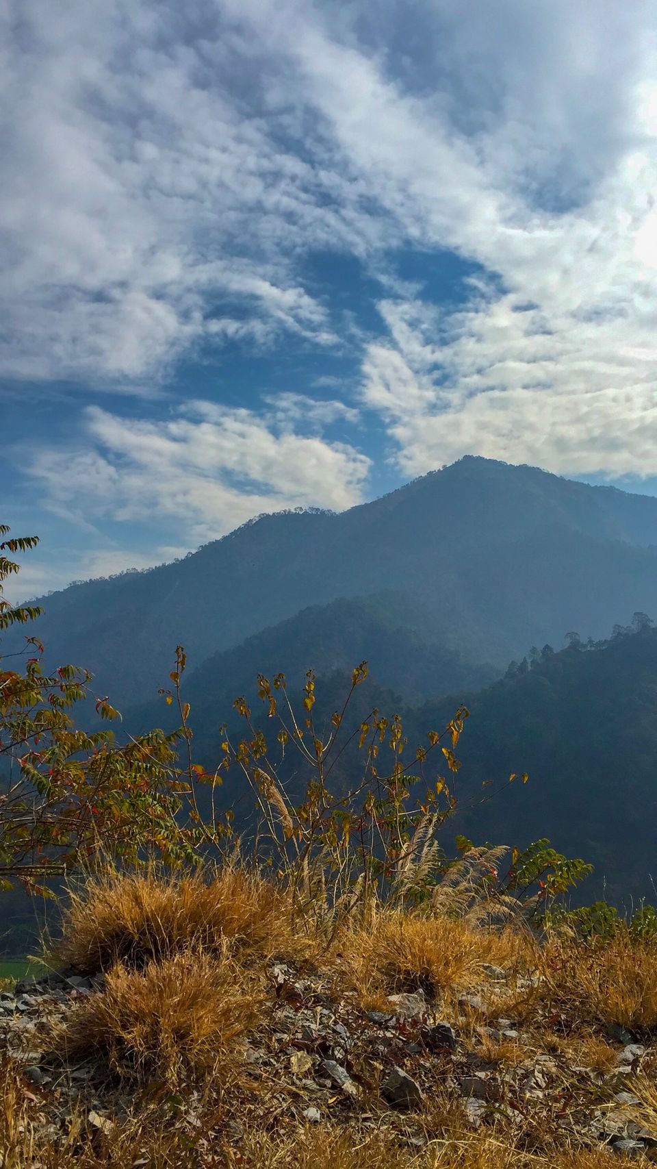 Photo of The Pahadi, Restaurant, Chiliyanaula, Uttarakhand, India by Fine Trails