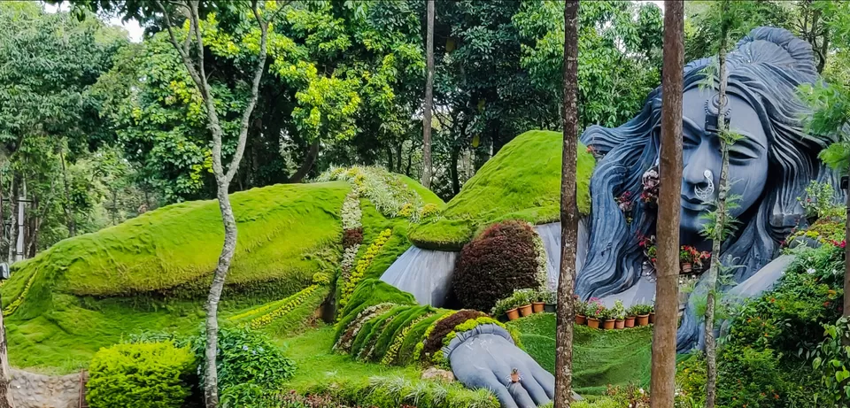 Photo of Rumble in the jungle ???? by Richa Hejal