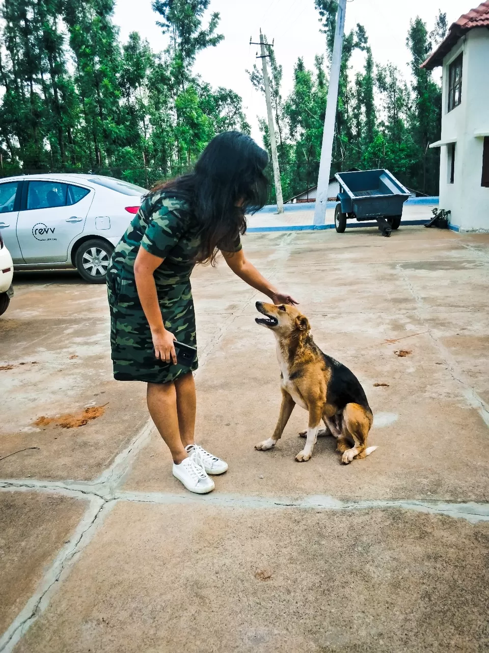 Photo of Rumble in the jungle ???? by Richa Hejal