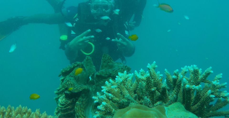 Photo of Great andamans - dream island... by Akshay