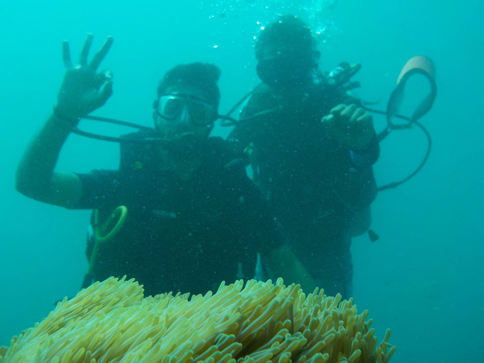 Photo of Great andamans - dream island... by Akshay