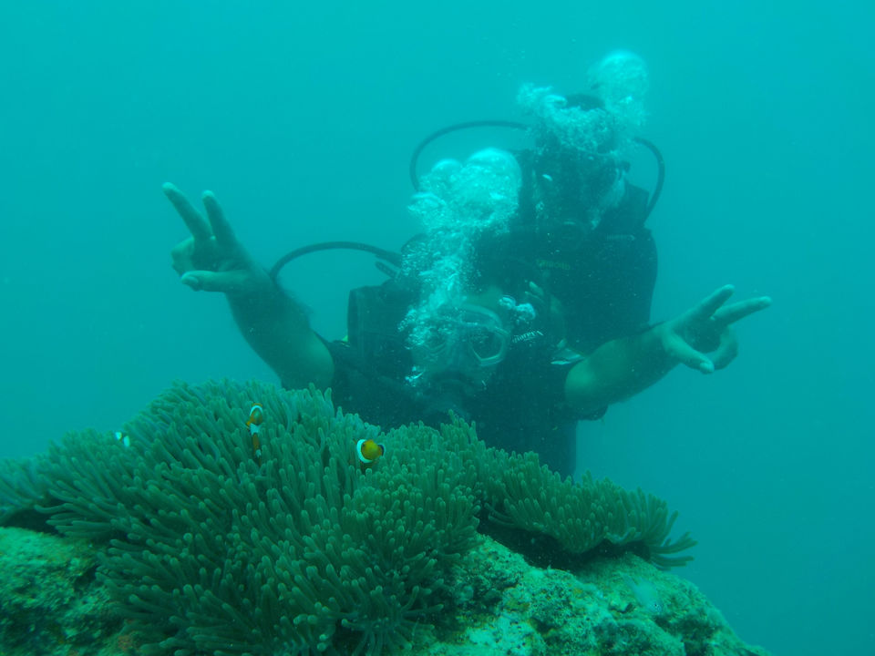 Photo of Great andamans - dream island... by Akshay