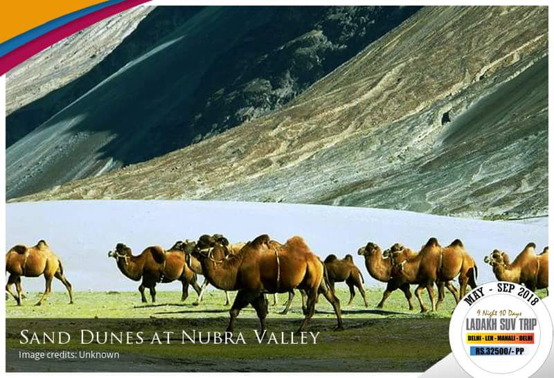 Photo of 7 Days Itinerary For Leh Ladakh On Bike From Manali by Akshay