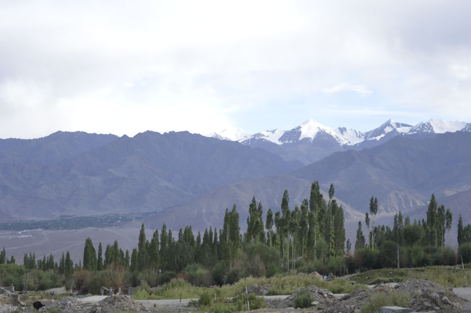 Photo of Chennai Ponnu in Leh 3/22 by Brindha Krishnamoorthy