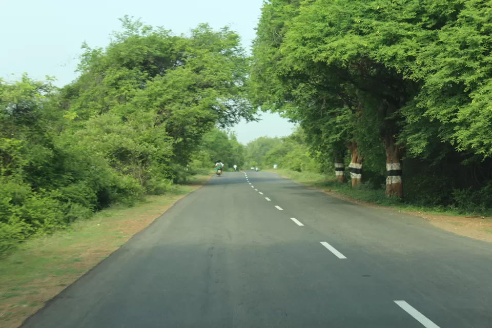 Photo of Tindivanam Bypass Flyover Bridge NH 45, Tindivanam, Tamil Nadu, India by Brindha Krishnamoorthy