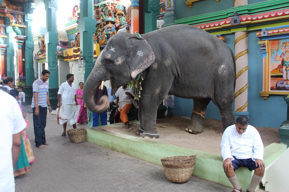 Photo of Pondy In 5 hours 10/17 by Brindha Krishnamoorthy