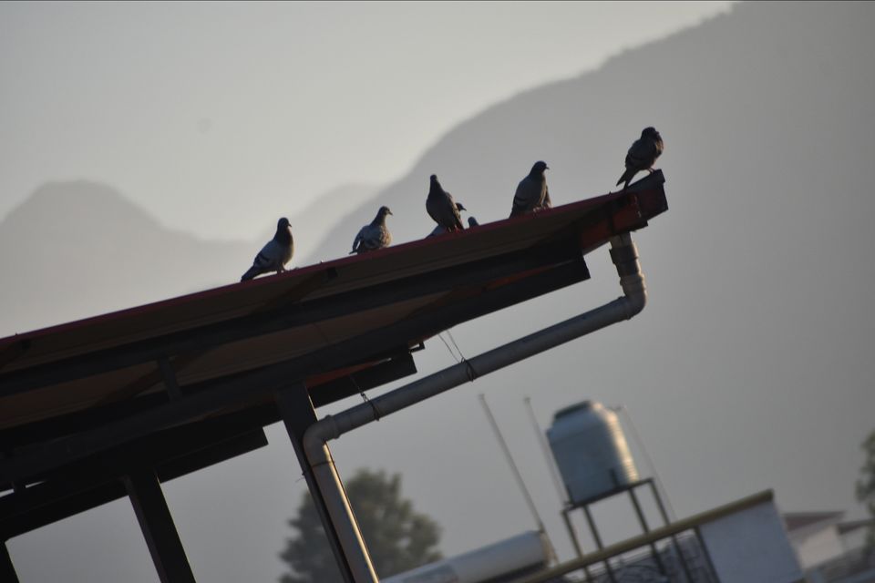 Photo of Dehradun, Uttarakhand, India by krishna semwal