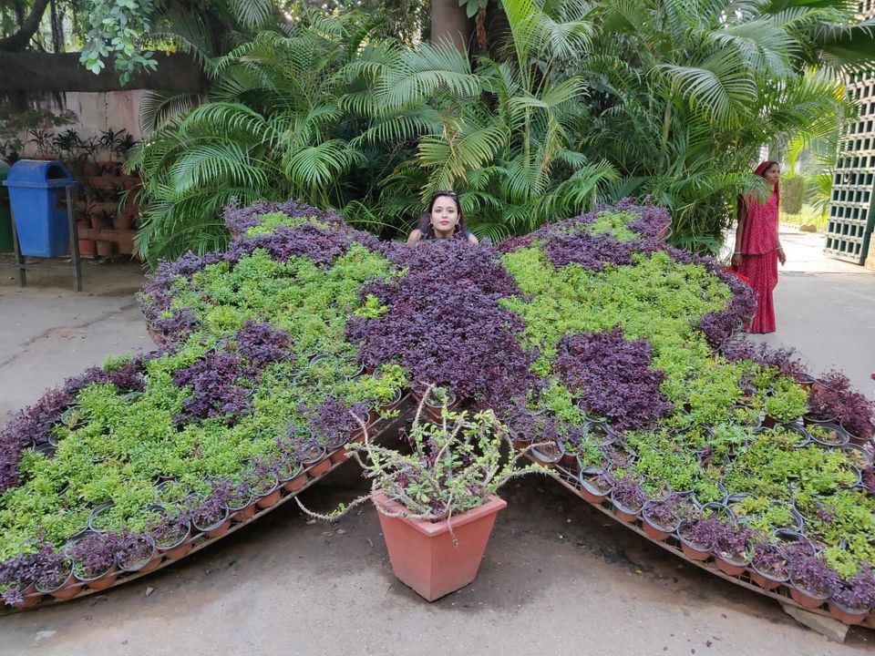 Photo of The Unforgettable Udaipur by priyanka rai