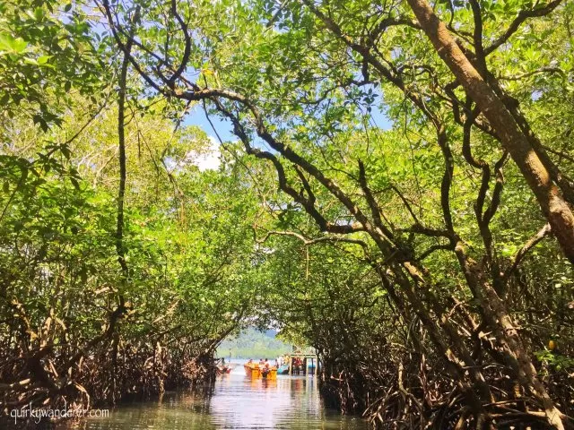 Photo of For the love of Andamans by Divyakshi Gupta