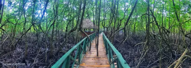 Photo of For the love of Andamans by Divyakshi Gupta