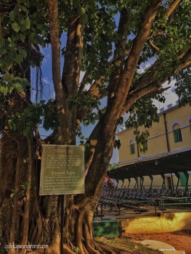 Photo of Why visiting the Cellular jail is a must for every Indian? by Divyakshi Gupta