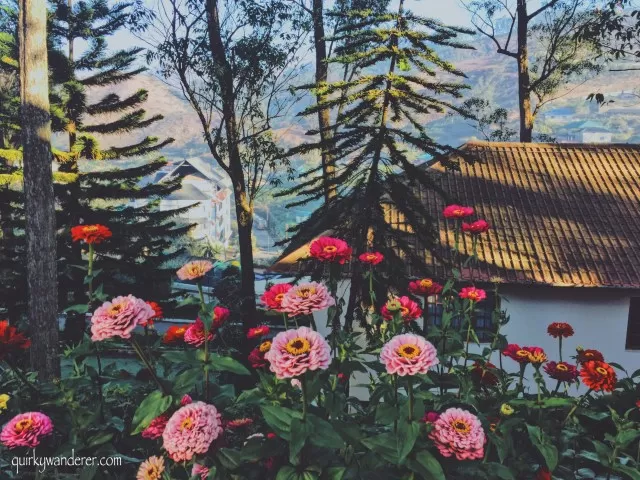 Photo of 30 Photographs explain why Kerala is God's own country by Divyakshi Gupta