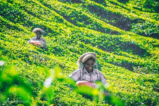 Photo of 30 Photographs explain why Kerala is God's own country by Divyakshi Gupta