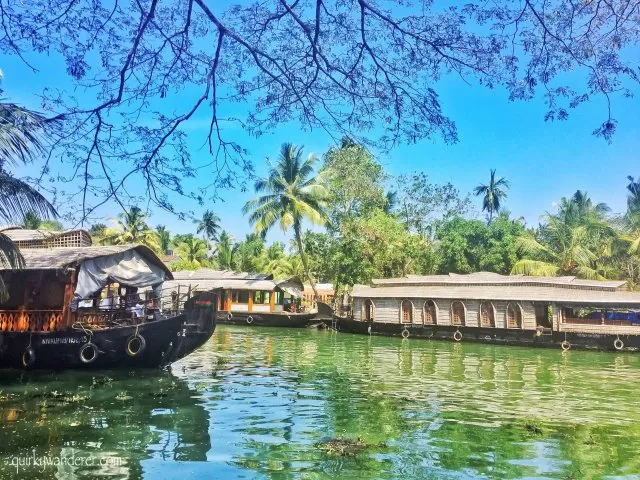 Photo of 30 Photographs explain why Kerala is God's own country by Divyakshi Gupta