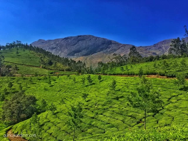 Photo of 30 Photographs explain why Kerala is God's own country by Divyakshi Gupta