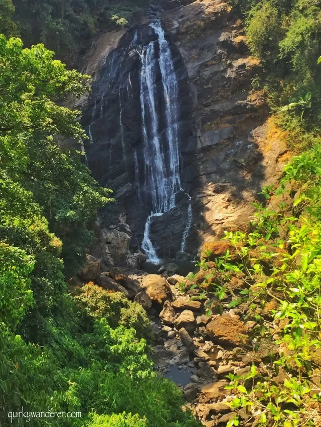 Photo of 30 Photographs explain why Kerala is God's own country by Divyakshi Gupta