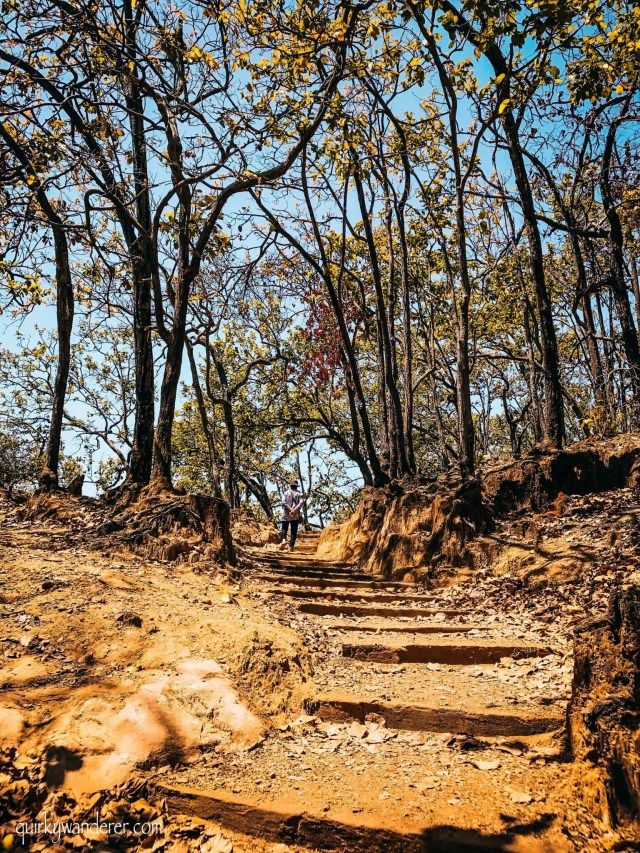 Photo of Finding Shiva in the caves of Pachmarhi by Divyakshi Gupta
