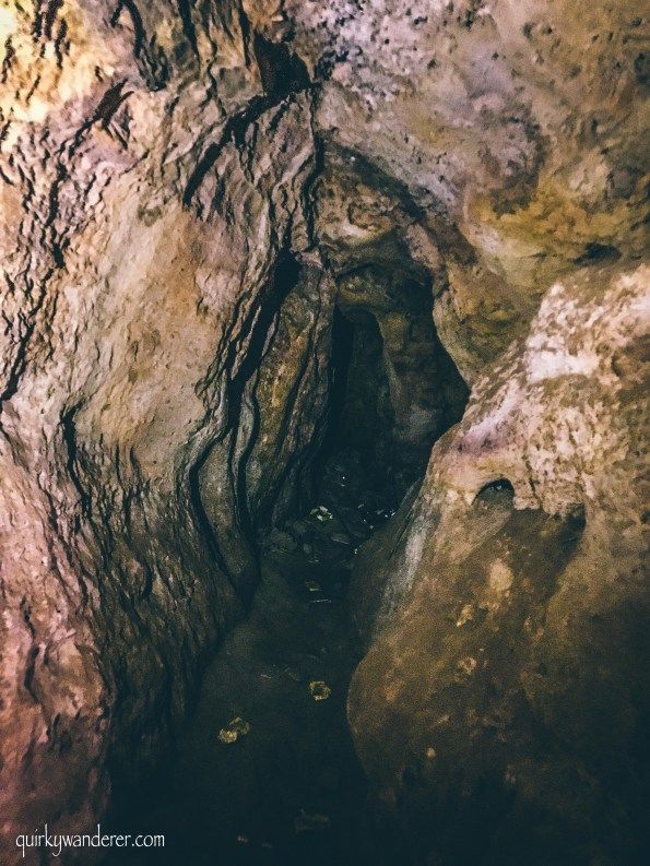 Photo of Finding Shiva in the caves of Pachmarhi by Divyakshi Gupta