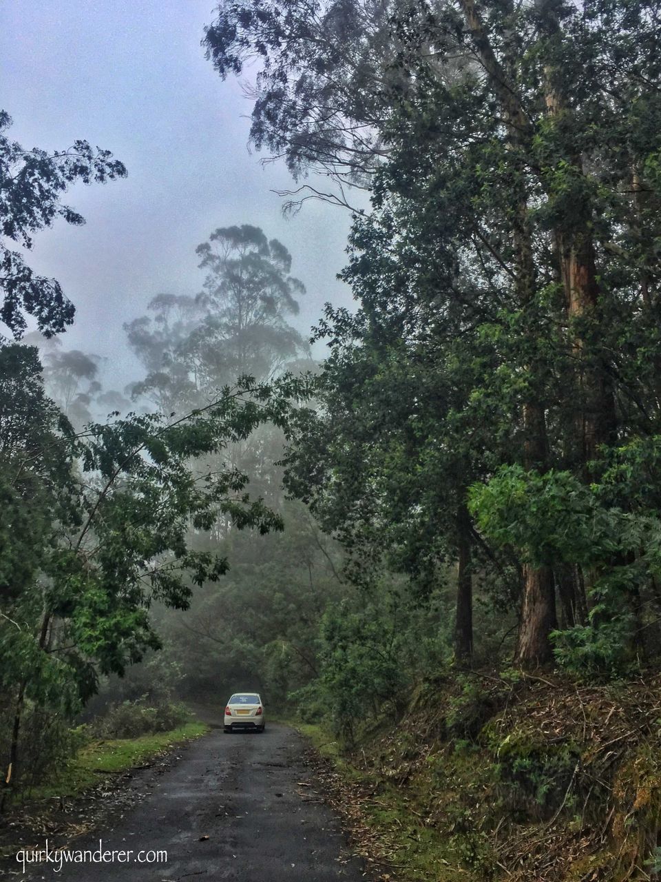 Photo of Offbeat Kodaikanal experiences by Divyakshi Gupta