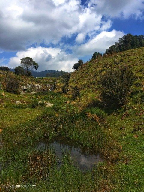 Photo of Offbeat Kodaikanal experiences by Divyakshi Gupta