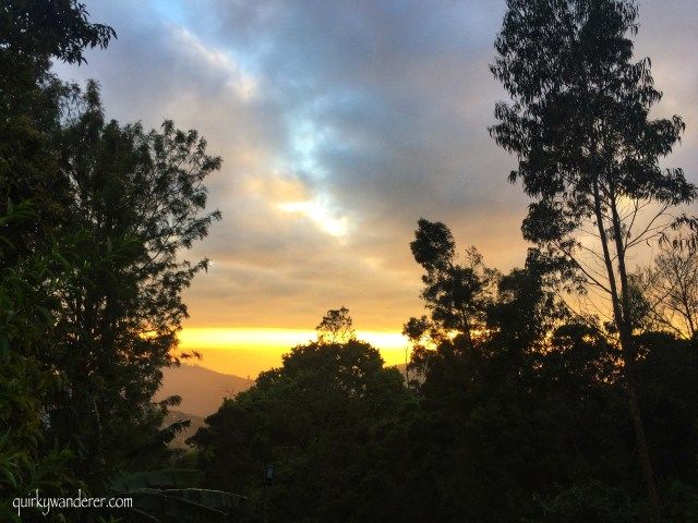 Photo of Offbeat Kodaikanal experiences by Divyakshi Gupta