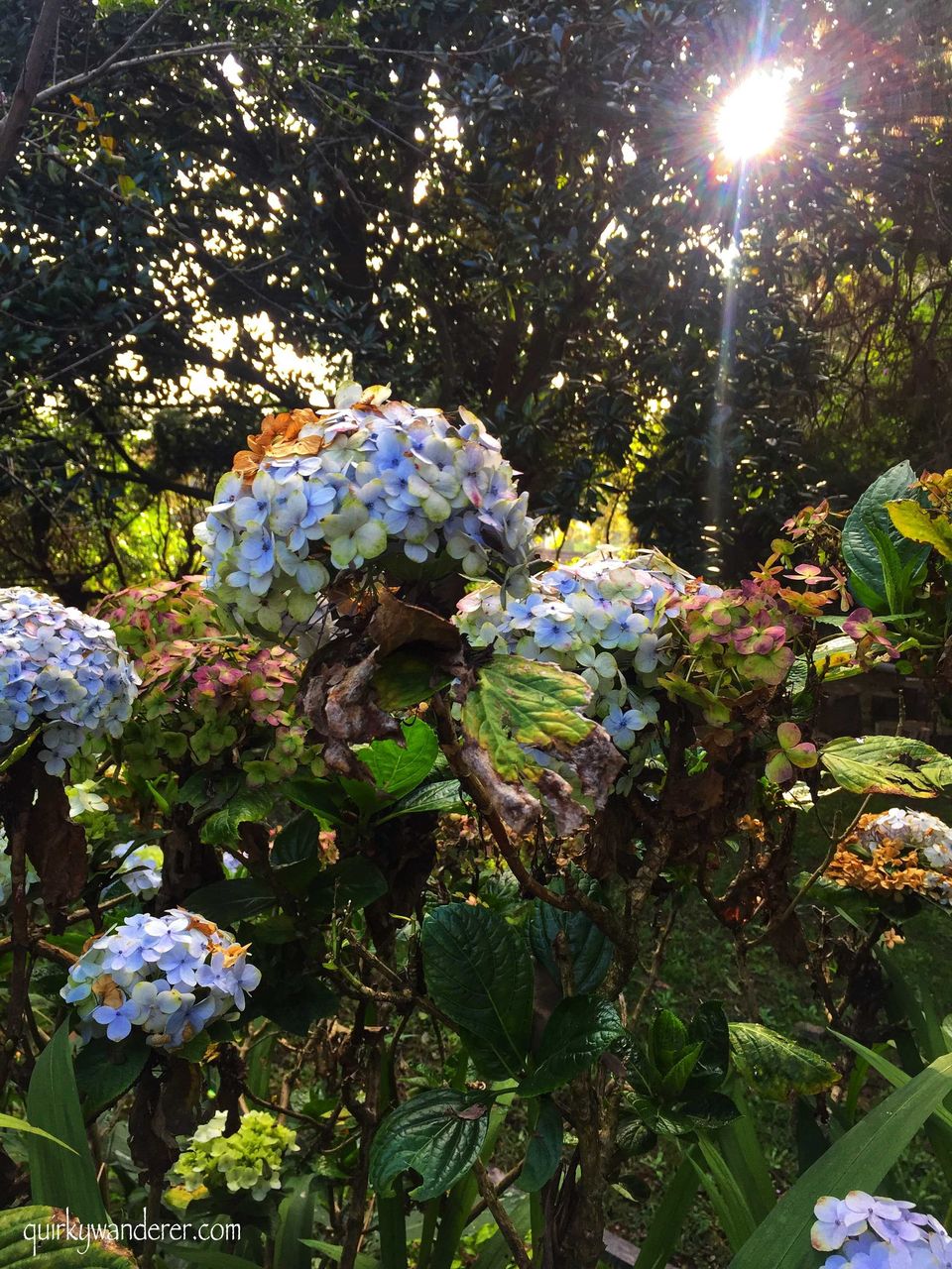 Photo of Offbeat Kodaikanal experiences by Divyakshi Gupta