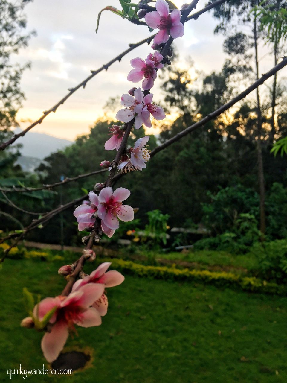 Photo of Offbeat Kodaikanal experiences by Divyakshi Gupta
