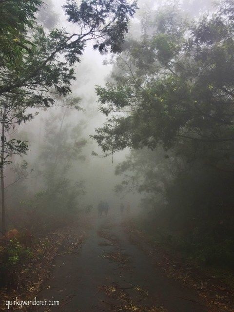Photo of Offbeat Kodaikanal experiences by Divyakshi Gupta