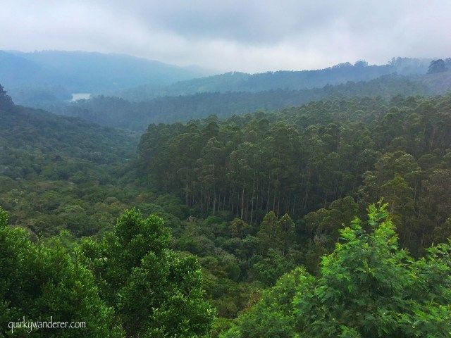 Photo of Offbeat Kodaikanal experiences by Divyakshi Gupta