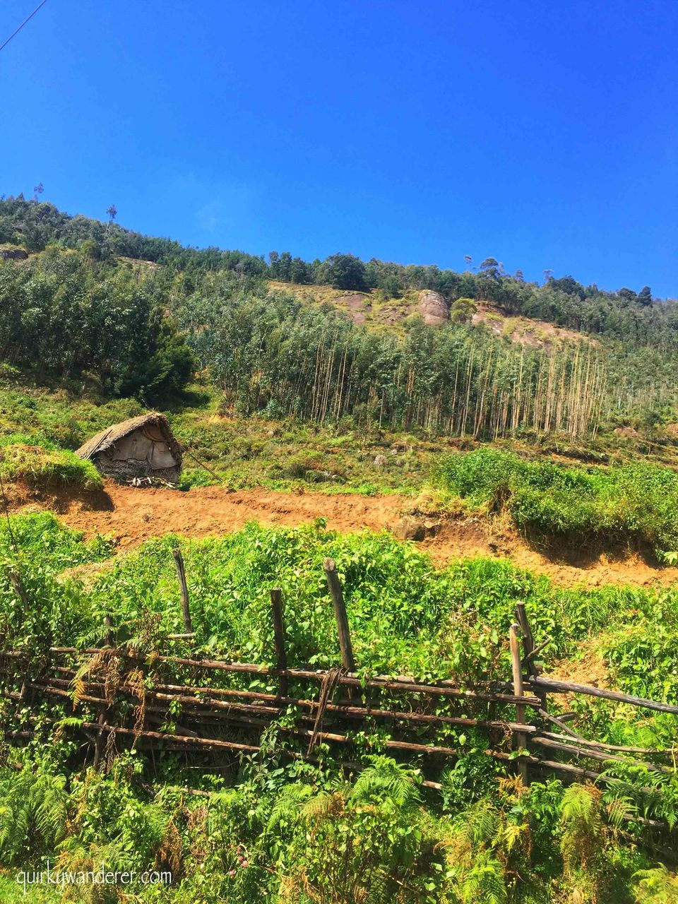 Photo of Offbeat Kodaikanal experiences by Divyakshi Gupta