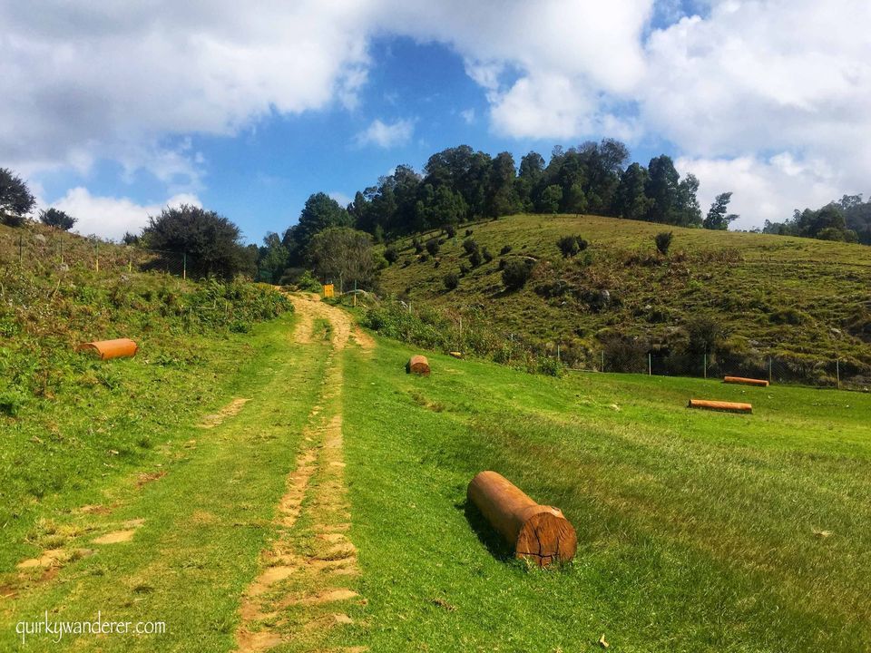 Photo of Offbeat Kodaikanal experiences by Divyakshi Gupta