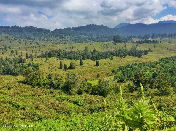 Photo of Offbeat Kodaikanal experiences by Divyakshi Gupta