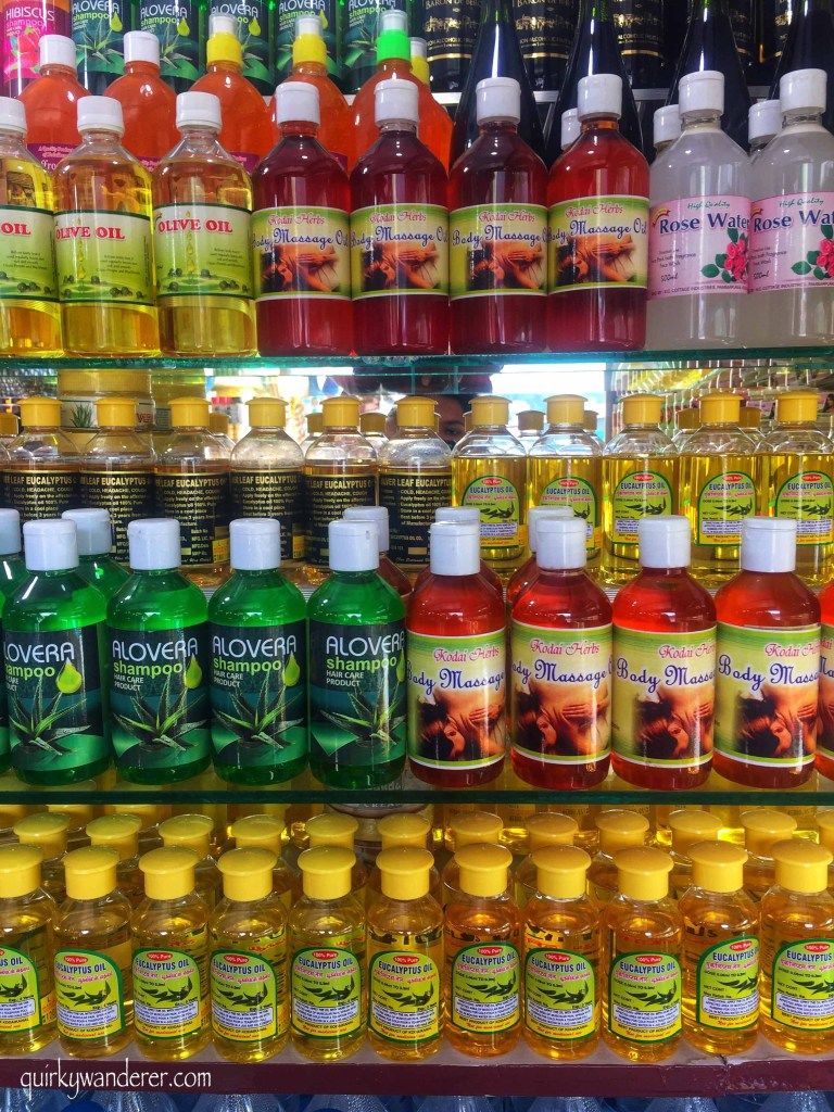 Photo of Offbeat Kodaikanal experiences by Divyakshi Gupta