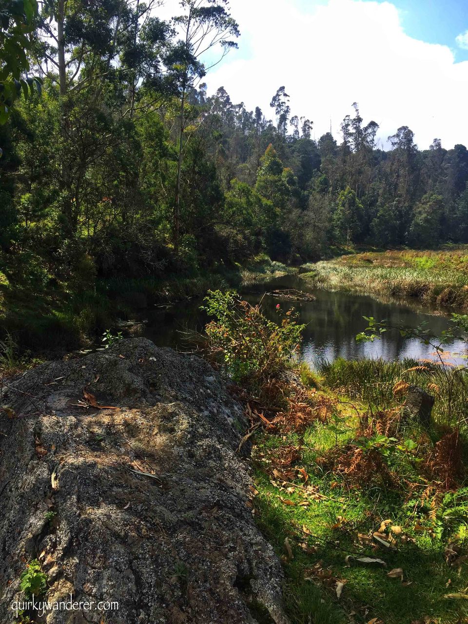 Photo of Offbeat Kodaikanal experiences by Divyakshi Gupta