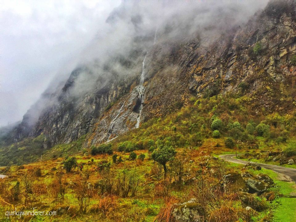 Photo of The Paradise Called Yumthang Valley by Divyakshi Gupta