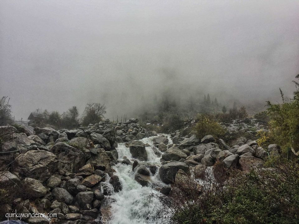 Photo of The Paradise Called Yumthang Valley by Divyakshi Gupta