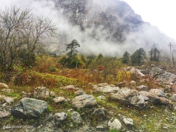 Photo of The Paradise Called Yumthang Valley by Divyakshi Gupta
