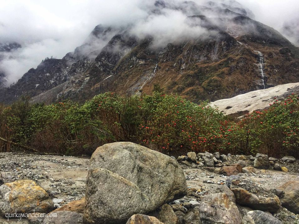 Photo of The Paradise Called Yumthang Valley by Divyakshi Gupta