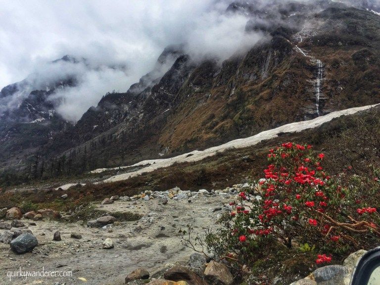 Photo of The Paradise Called Yumthang Valley by Divyakshi Gupta