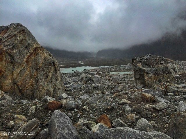Photo of The Paradise Called Yumthang Valley by Divyakshi Gupta